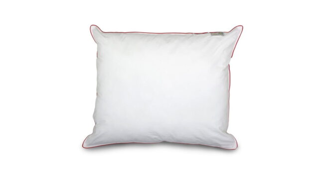 Queens Swiss Dreams synthetisch medium hoofdkussen