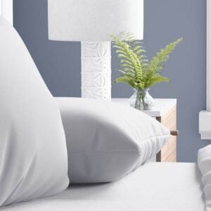 Dreamhouse Flanel Premium kussenslopen (set van 2)