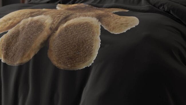 Sleeptime Brave Teddy dekbedovertrek - Afbeelding 3